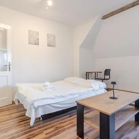 Daire Gliwice City Centre Studios By Bookinghost *